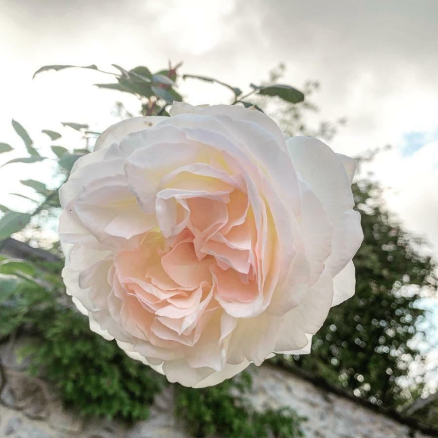 B&B L'Echappée Belle Falaën Esterno foto